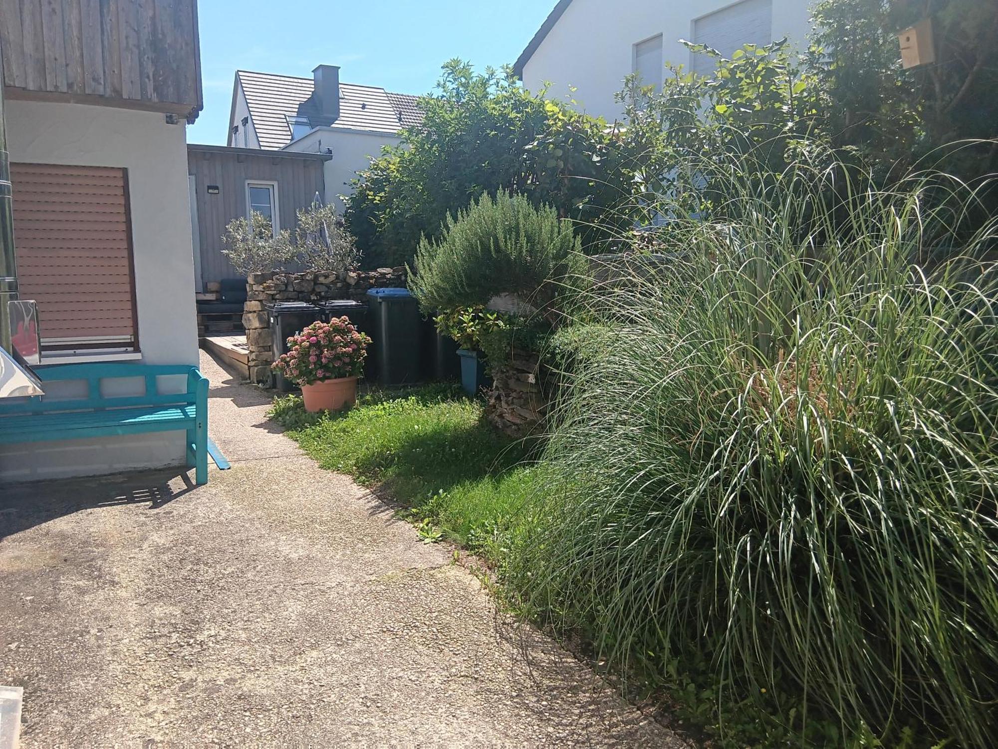 Ferienwohnung Mattheiser Weiher Trewir Zewnętrze zdjęcie